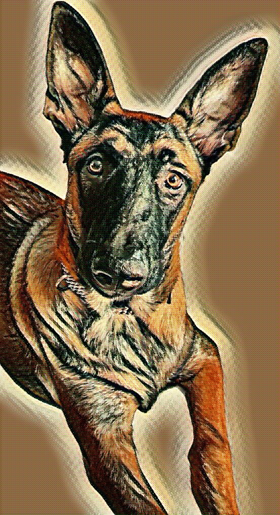 Personal art collection